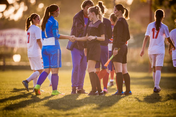 感纽带时 感纽带时